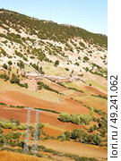 dades valley in atlas moroco africa ground tree  and nobody. Стоковое фото, агентство Ingram Publishing / Фотобанк Лори