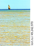 pirogue beach seaweed in indian ocean madagascar  people   sand isle  sky    and rock. Стоковое фото, агентство Ingram Publishing / Фотобанк Лори