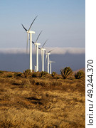 africa wind turbines and the sky in the isle of lanzarote spain . Стоковое фото, агентство Ingram Publishing / Фотобанк Лори