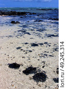 boat foam footstep indian ocean some stone in the island of deus cocos in mauritius blue bay. Стоковое фото, агентство Ingram Publishing / Фотобанк Лори