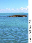 blue   isla contoy       in mexico froath and blue  foam  the sea drop sunny day  wave. Стоковое фото, агентство Ingram Publishing / Фотобанк Лори