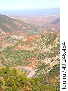 dades valley in atlas moroco   africa ground tree  and nobody. Стоковое фото, агентство Ingram Publishing / Фотобанк Лори