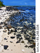 blue bay foam footstep indian ocean some stone in the island of deus cocos in mauritius . Стоковое фото, агентство Ingram Publishing / Фотобанк Лори