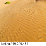the empty quarter  and outdoor  sand  dune in oman old desert rub   al khali . Стоковое фото, агентство Ingram Publishing / Фотобанк Лори