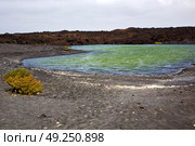 plant stone  atlantic ocean sky  water lanzarote in el golfo  spain musk pond rock  coastline and summer . Стоковое фото, агентство Ingram Publishing / Фотобанк Лори