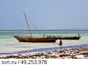 boat people and seaweed in the  blue lagoon relax  of zanzibar africa. Стоковое фото, агентство Ingram Publishing / Фотобанк Лори