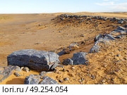  old fossil in  the desert of morocco sahara and rock  stone    sky. Стоковое фото, агентство Ingram Publishing / Фотобанк Лори