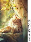 A cat peacefully sleeps on a window sill, basking in the warm sunlight streaming through the glass. Стоковое AI-изображение, AI-художник Данила Большаков / Фотобанк Лори
