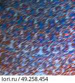 blur in iran abstract texture of the  religion  architecture mosque roof persian history. Стоковое фото, агентство Ingram Publishing / Фотобанк Лори