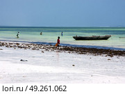 boat people and seaweed in the  blue lagoon relax  of zanzibar africa. Стоковое фото, агентство Ingram Publishing / Фотобанк Лори