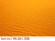 in the yellow desert of morocco lonely   dune hill. Стоковое фото, агентство Ingram Publishing / Фотобанк Лори
