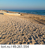 and seagull near ocean in oman boat in the coastline . Стоковое фото, агентство Ingram Publishing / Фотобанк Лори