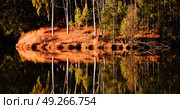 in lesotho mlilwane wildlife santuary the pound lake and  tree reflection in water. Стоковое фото, агентство Ingram Publishing / Фотобанк Лори