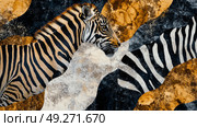 collage of wild animal patterns with zebra and tiger stripes , jaguar spots. Стоковое AI-изображение, AI-художник Anastasy Yarmolovich / Фотобанк Лори