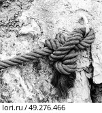 cord rope nautical cable like strong connection concept background . Стоковое фото, агентство Ingram Publishing / Фотобанк Лори