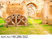 old moroccan granary in the green grass and archway  wall. Стоковое фото, агентство Ingram Publishing / Фотобанк Лори