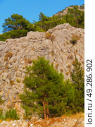  anatolia    from     the hill in asia turkey termessos old architecture and nature . Стоковое фото, агентство Ingram Publishing / Фотобанк Лори