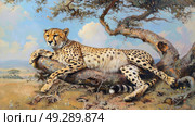 A painting of a cheetah, the fastest land animal, resting on a tree branch in its natural habitat. Стоковое AI-изображение, AI-художник Данила Большаков / Фотобанк Лори