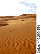old fossil in  the desert of morocco sahara and rock  stone    sky. Стоковое фото, агентство Ingram Publishing / Фотобанк Лори