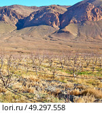 in   valley  morocco  africa the atlas dry  mountain   ground isolated hill . Стоковое фото, агентство Ingram Publishing / Фотобанк Лори