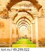 old moroccan granary in the green grass and archway  wall. Стоковое фото, агентство Ingram Publishing / Фотобанк Лори