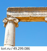 column    temple and theatre in ephesus   antalya turkey asia sky  the ruins. Стоковое фото, агентство Ingram Publishing / Фотобанк Лори