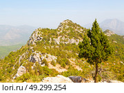  anatolia    from    the hill in asia turkey termessos old architecture and nature . Стоковое фото, агентство Ingram Publishing / Фотобанк Лори