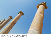 column    temple and theatre in ephesus   antalya turkey asia sky  the ruins. Стоковое фото, агентство Ingram Publishing / Фотобанк Лори