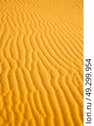 the brown sand dune in the sahara morocco desert . Стоковое фото, агентство Ingram Publishing / Фотобанк Лори