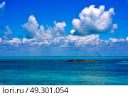 coastline and rock in the  blue lagoon relax  of isla contoy  mexico. Стоковое фото, агентство Ingram Publishing / Фотобанк Лори