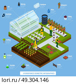 Hydroponics And Aeroponics Infographic Set. Hydroponics and aeroponics isometric infographic set with plants and farming symbols vector illustration. Стоковая иллюстрация, агентство Ingram Publishing / Фотобанк Лори