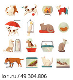 Pet Shop Icons Set. Pet shop icons set with cats and dogs flat isolated vector illustration . Стоковая иллюстрация, агентство Ingram Publishing / Фотобанк Лори