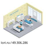Pet Groomer Illustration. Pet groomer in pet grooming salon with dogs isometric vector illustration. Стоковая иллюстрация, агентство Ingram Publishing / Фотобанк Лори
