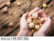 handful physalis of hands. autumn harvest physalis in the palms on a retro background. Стоковое фото, агентство Ingram Publishing / Фотобанк Лори