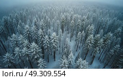 A drone shot of a foggy forest in winter. Aerial view of endless taiga landscape covered with pines and other coniferous trees. Frozen steam and fog rising above snowy place. Стоковое AI-видео, аниматор Sergey Grishin / Фотобанк Лори