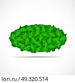 Natural Green Leaves Background. Vector Illustration EPS10. Natural Green Leaves Background. Vector Illustration. Стоковая иллюстрация, агентство Ingram Publishing / Фотобанк Лори