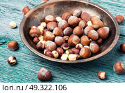 set hazelnut nut. nut hazelnuts in the shell and chipped in a bowl. Стоковое фото, агентство Ingram Publishing / Фотобанк Лори