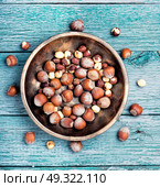 set hazelnut nut. nut hazelnuts in the shell and chipped in a bowl. Стоковое фото, агентство Ingram Publishing / Фотобанк Лори