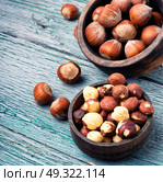 set hazelnut nut. nut hazelnuts in the shell and chipped in a bowl. Стоковое фото, агентство Ingram Publishing / Фотобанк Лори