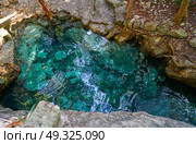 Cenote in Riviera Maya of Mayan Mexico sinkhole exposing groundwater. Стоковое фото, агентство Ingram Publishing / Фотобанк Лори