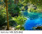 Cenote in Riviera Maya of Mayan Mexico sinkhole exposing groundwater. Стоковое фото, агентство Ingram Publishing / Фотобанк Лори