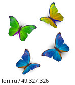 Butterfly Set Isolated on White Realistic Vector Illustration EPS10. Butterfly Set Isolated on White Realistic Vector Illustration. Стоковая иллюстрация, агентство Ingram Publishing / Фотобанк Лори