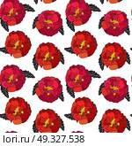 Natural Seamless Pattern Background from Tagetes Flowers Vector Illustration EPS10. Natural Seamless Pattern Background from Tagetes Flowers Vector . Стоковая иллюстрация, агентство Ingram Publishing / Фотобанк Лори