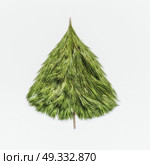 Christmas tree made with cedar branches on white background, top view. Layout of holiday greeting card for decorating. Стоковое фото, агентство Ingram Publishing / Фотобанк Лори