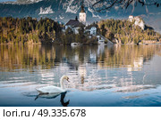 Lake Bled in the Alpine mountains in autumn under blue sky. Стоковое фото, агентство Ingram Publishing / Фотобанк Лори
