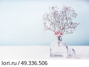 Spa or wellness background with aromatherapy, air freshener of floral essential oil in pastel color, front view. Beauty concept. Стоковое фото, агентство Ingram Publishing / Фотобанк Лори