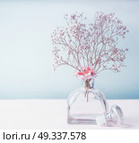 Wellness or aromatherapy concept. Glass jar diffuser  with flowers at pastel color background, top view. Aromatic spa set. Стоковое фото, агентство Ingram Publishing / Фотобанк Лори