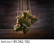 Zongzi Glutinous sticky Rice Dumplings recipe wrap with bamboo leaves asian food. Стоковое фото, агентство Ingram Publishing / Фотобанк Лори