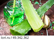 Aloe vera plant. Aloe Vera leaves and jar with extract for spa.Healthy aloe vera. Стоковое фото, агентство Ingram Publishing / Фотобанк Лори