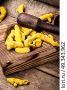 Roots and turmeric powder. Turmeric powder and root turmeric in mortar with a pestle. Стоковое фото, агентство Ingram Publishing / Фотобанк Лори
